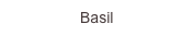 Basil
