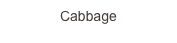 Cabbage