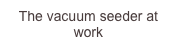 The vacuum seeder at work