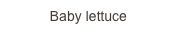 Baby lettuce