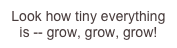 Look how tiny everything is -- grow, grow, grow!