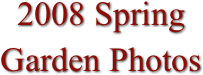 2008 Spring Garden Photos