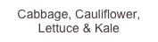 Cabbage, Cauliflower, Lettuce & Kale